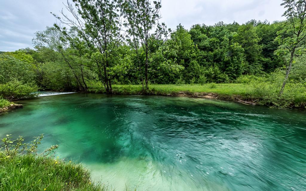 Bear'S Log Villa Селище Дрезницко Екстериор снимка